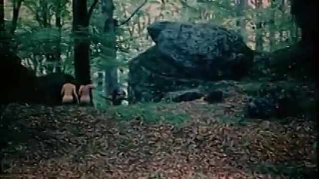 coracao de amor sexual