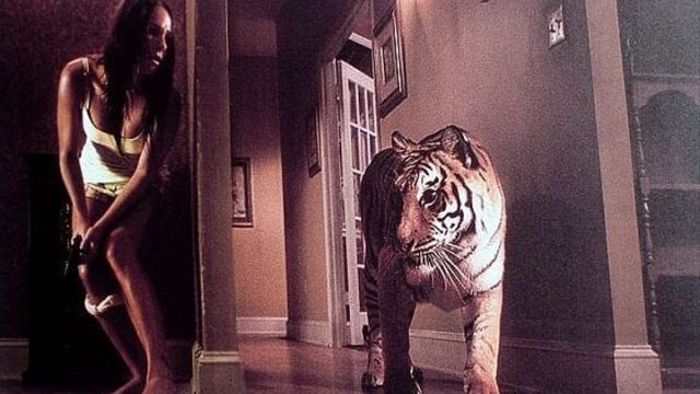 nas garras do tigre 2004