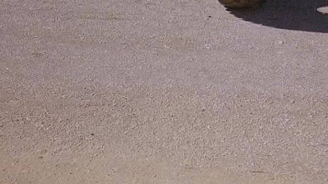 O Ataque dos Vermes Malditos 1