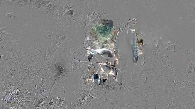 O Ataque Dos Vermes Malditos 5 â Dublado