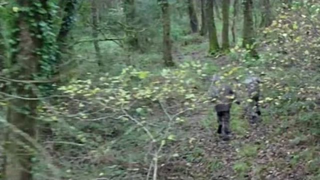 Jurassic.Predador.2018