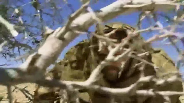 O Apostolo TomÃ© - Filme Biblico - Dublado