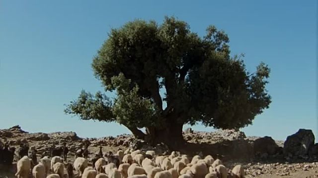 Gênesis 1994 dublado filme bíblico