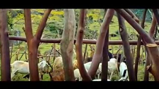 UNICÃRNIO FILME NACIONAL.mp4