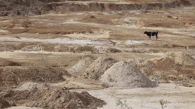 â Animal PolÃ­tico - Filme 2016 Nacional Br â