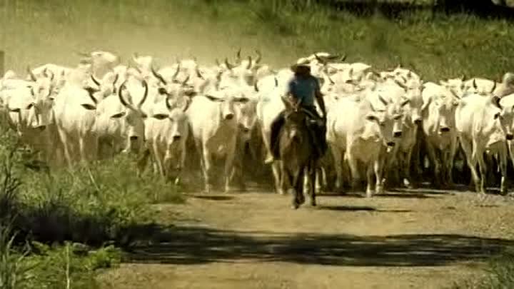 â O Nome da Morte - Filme 2017 Nacional Br â