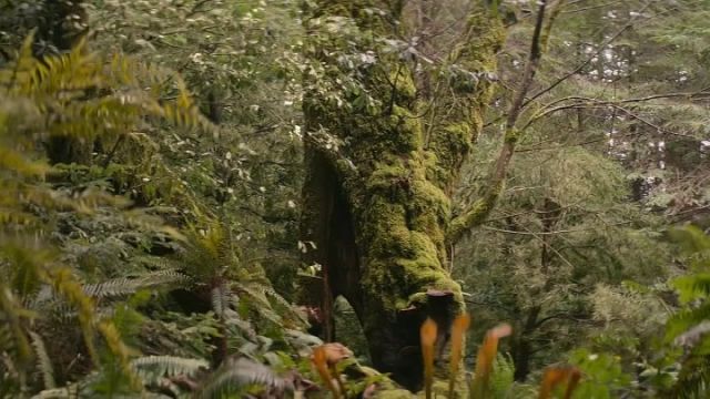 AmeaÃ§a PrÃ©-HistÃ³rica - Dublado